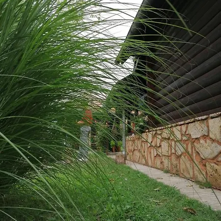 Drinska Tajna * Bajina Basta