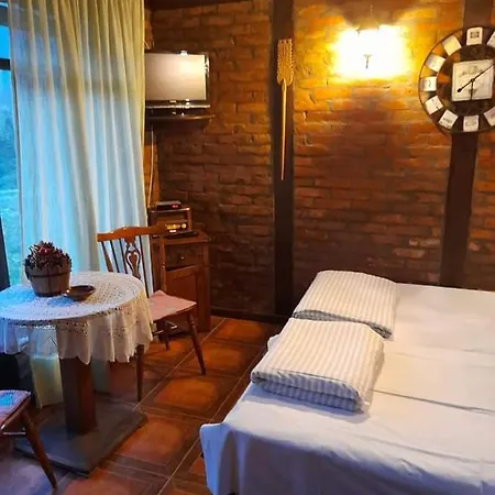 Case de vacanță Drinska Tajna *