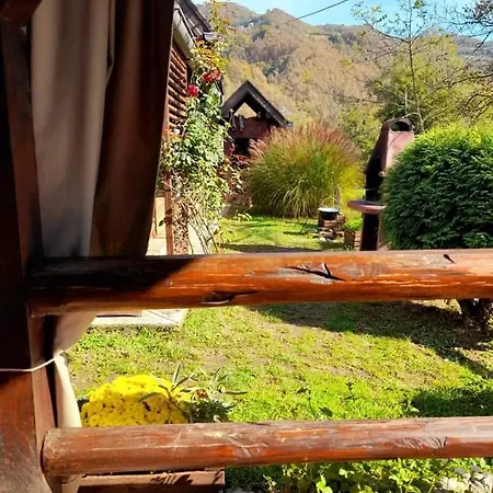 Drinska Tajna Case de vacanță