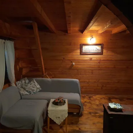 Drinska Tajna Case de vacanță Bajina Basta