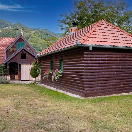 Case de vacanță Drinska Tajna