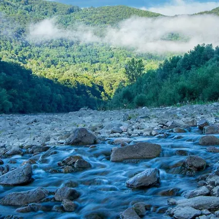 Drinska Tajna Case de vacanță *