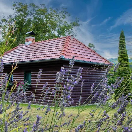 Drinska Tajna Feriehus Bajina Basta