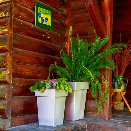 Case de vacanță Drinska Tajna