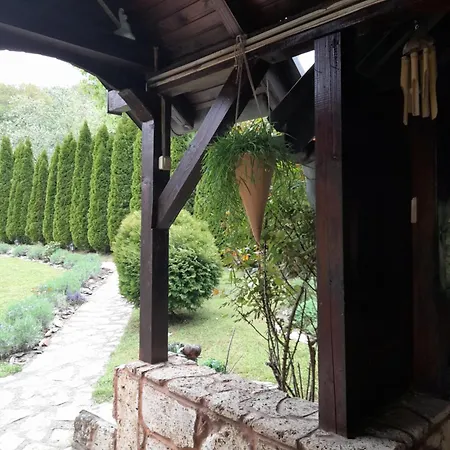 Drinska Tajna Case de vacanță