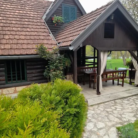 Drinska Tajna Case de vacanță