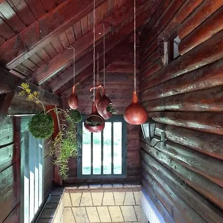 Case de vacanță Drinska Tajna *