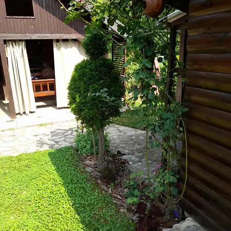 Drinska Tajna Bajina Basta