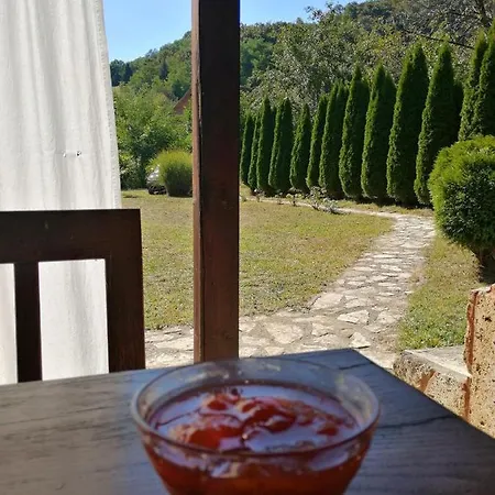 Drinska Tajna Case de vacanță