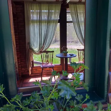 Drinska Tajna Case de vacanță *