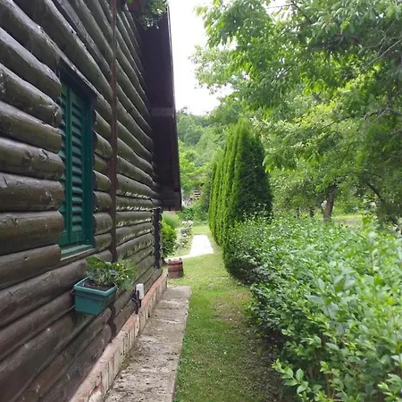 Drinska Tajna