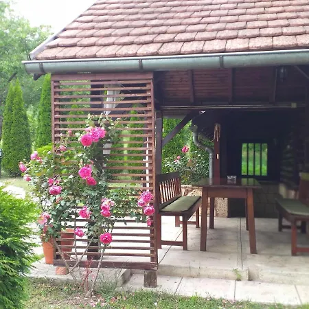 Drinska Tajna Case de vacanță *